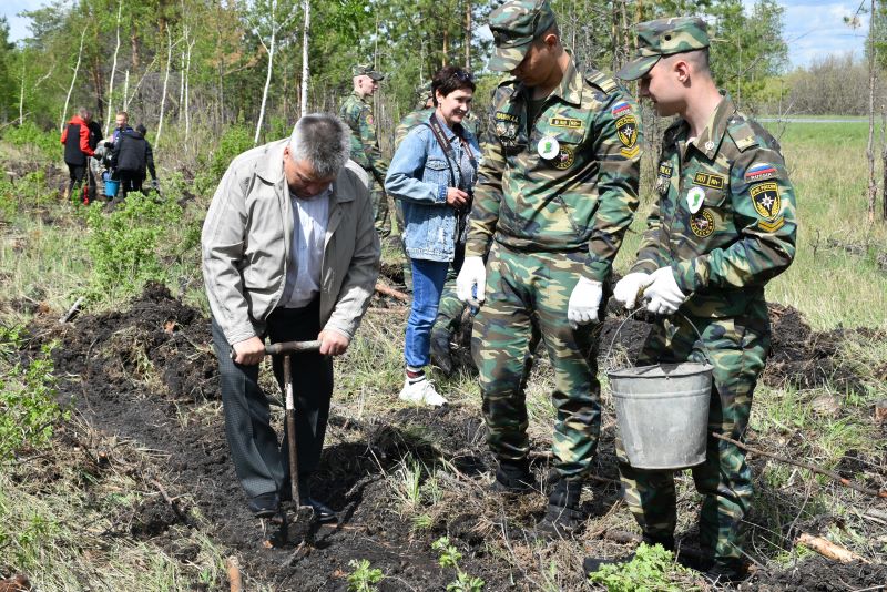 Акция &quot;Сад памяти&quot;.